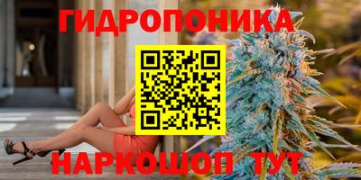 PSILOCYBIN Бугуруслан